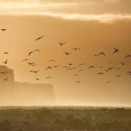 45 Grande Rue Bis Апартаменты О